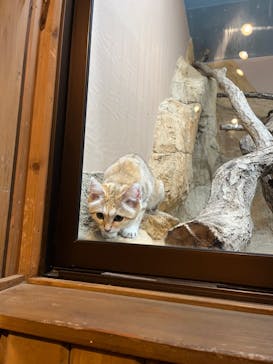 那須どうぶつ王国に投稿された画像（2024/8/14）