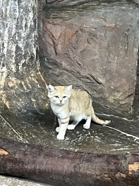 那須どうぶつ王国に投稿された画像（2024/8/14）