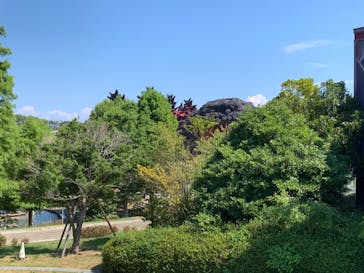 ニジゲンノモリに投稿された画像（2024/8/14）