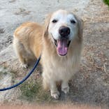 IPCわんわん動物園に投稿された画像（2024/8/14）