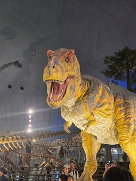 福井県立恐竜博物館に投稿された画像（2024/8/14）