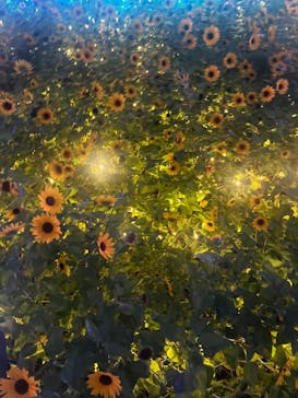 せんだい農業園芸センター　みどりの杜に投稿された画像（2024/8/14）