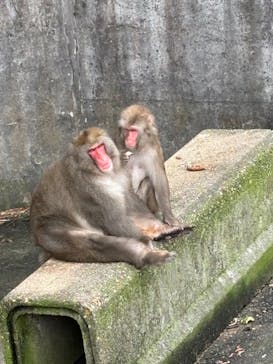 宇都宮動物園に投稿された画像（2024/8/14）