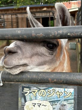 宇都宮動物園に投稿された画像（2024/8/14）