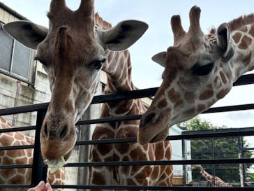 宇都宮動物園に投稿された画像（2024/8/14）