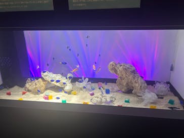 サンシャイン水族館に投稿された画像（2024/8/14）