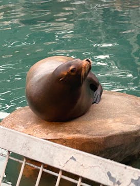 名古屋市東山動植物園に投稿された画像（2024/8/14）