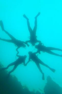 オーシャンデイズ 積丹支店に投稿された画像（2024/8/14）