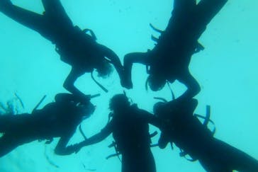 オーシャンデイズ 積丹支店に投稿された画像（2024/8/14）