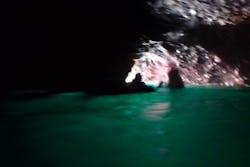 オーシャンデイズ 積丹支店に投稿された画像（2024/8/14）