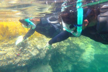 オーシャンデイズ 積丹支店に投稿された画像（2024/8/14）