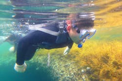 オーシャンデイズ 積丹支店に投稿された画像（2024/8/14）