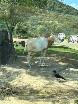 姫路セントラルパークに投稿された画像（2024/8/14）