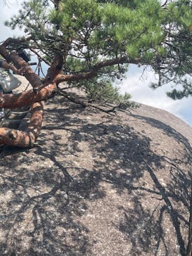 昇仙峡ロープウェイに投稿された画像（2024/8/14）