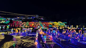 伊豆ぐらんぱる公園に投稿された画像（2024/8/14）