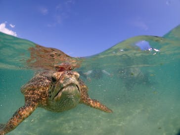 宮古島マリンショップSmileyに投稿された画像（2024/8/13）