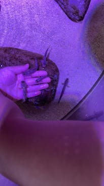 南知多ビーチランド＆南知多おもちゃ王国に投稿された画像（2024/8/14）