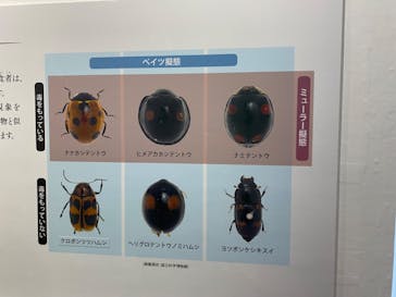 特別展　毒に投稿された画像（2024/8/14）