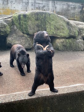 奥飛騨クマ牧場に投稿された画像（2024/8/14）