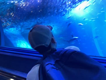 横浜・八景島シーパラダイスに投稿された画像（2024/8/14）