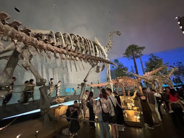 福井県立恐竜博物館に投稿された画像（2024/8/14）