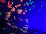 名古屋港水族館に投稿された画像（2024/8/14）