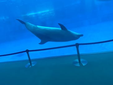 名古屋港水族館に投稿された画像（2024/8/14）