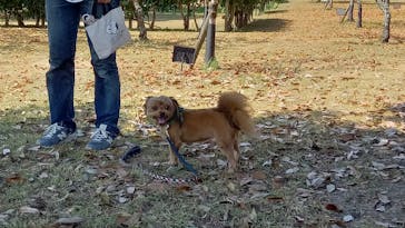 ニジゲンノモリに投稿された画像（2024/8/14）