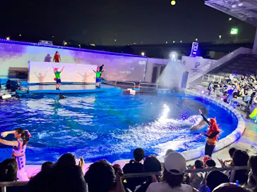 仙台うみの杜水族館に投稿された画像（2024/8/14）