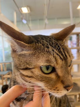 Moff animal world BIGHOPガーデンモール印西店に投稿された画像（2024/8/14）