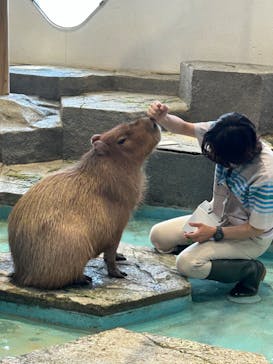 NIFREL（ニフレル）に投稿された画像（2024/8/14）