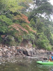 ラグーンガイドツアーズに投稿された画像（2024/8/14）