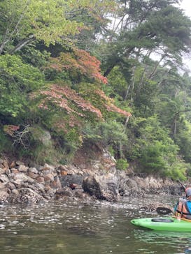 ラグーンガイドツアーズに投稿された画像（2024/8/14）