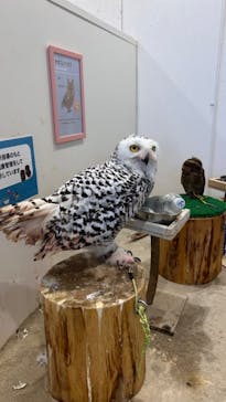 アニタッチみなとみらいに投稿された画像（2024/8/14）