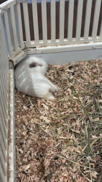 アニタッチみなとみらいに投稿された画像（2024/8/14）