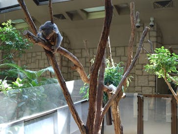 名古屋市東山動植物園に投稿された画像（2024/8/14）