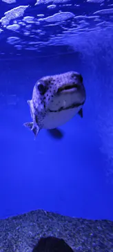 仙台うみの杜水族館に投稿された画像（2024/8/14）