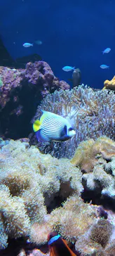 仙台うみの杜水族館に投稿された画像（2024/8/14）