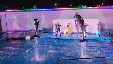仙台うみの杜水族館に投稿された画像（2024/8/14）