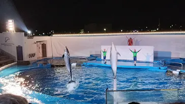 仙台うみの杜水族館に投稿された画像（2024/8/14）