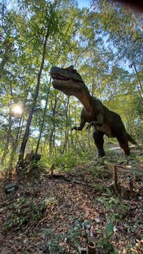 みろくの里に投稿された画像（2024/8/14）