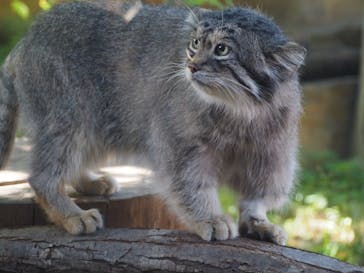 那須どうぶつ王国に投稿された画像（2024/8/14）