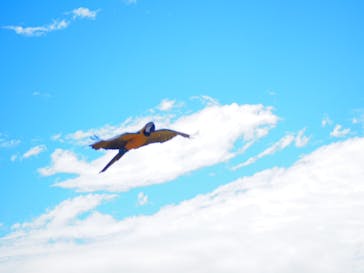 那須どうぶつ王国に投稿された画像（2024/8/14）