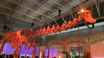 巨大恐竜展2024に投稿された画像（2024/8/14）