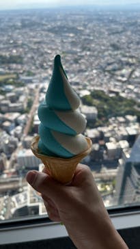 横浜ランドマークタワー 69階展望フロア スカイガーデンに投稿された画像（2024/8/14）