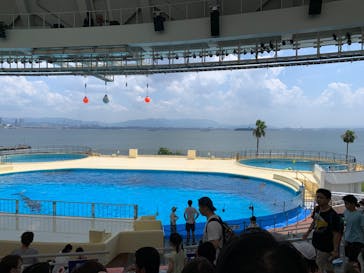 マリンワールド海の中道に投稿された画像（2024/8/14）