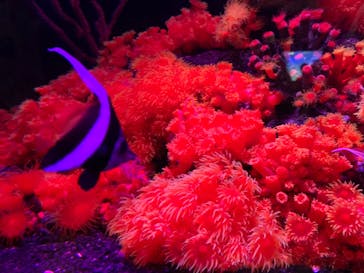 マリンワールド海の中道に投稿された画像（2024/8/14）