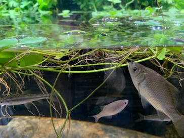 マリンワールド海の中道に投稿された画像（2024/8/14）