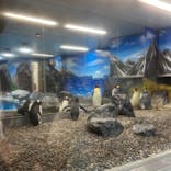 越前松島水族館に投稿された画像（2024/8/15）