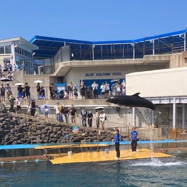越前松島水族館に投稿された画像（2024/8/14）